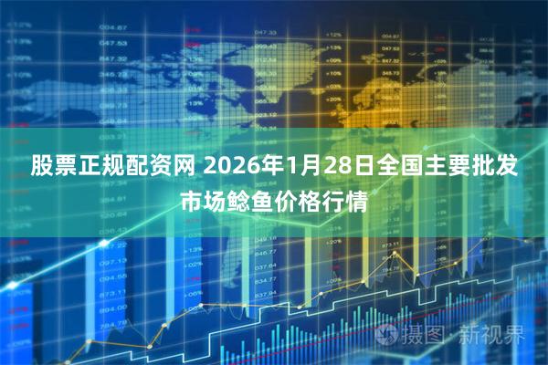 股票正规配资网 2026年1月28日全国主要批发市场鲶鱼价格行情