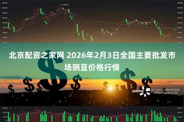 北京配资之家网 2026年2月3日全国主要批发市场豌豆价格行情